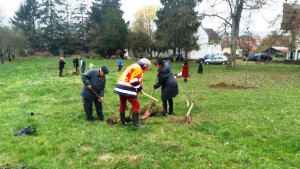 Останні вісті з Маквілеру.(ФОТО)