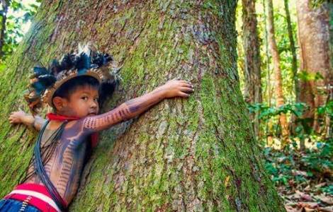 Церква Венесуели закликає об'єднати всі сили для захисту природи Амазонії