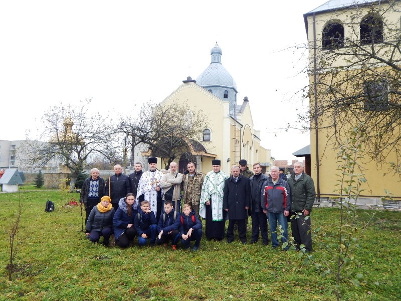 Від дерев миру – до нового життя