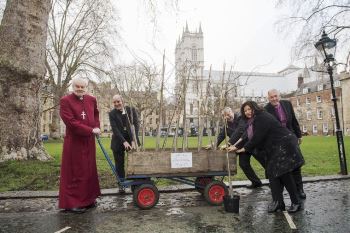 Лондонські церкви висаджують дерева, щоб зробити місто зеленим