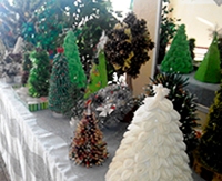 На Херсонщині відбулась екологічна акція «Букет замість ялинки»