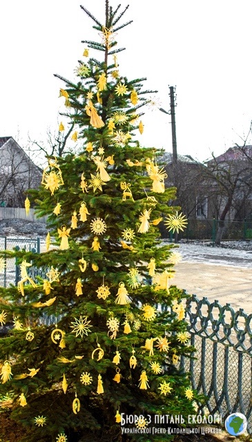 Результати фотоконкурсу «Різдвяне дерево крізь об’єктив віри»