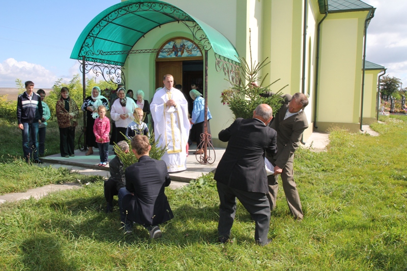Пожертвувані парафії ялинки з нагоди святкування Дня Бога Творця. Фото: Олександр Курило