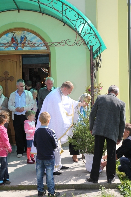 Ялинки будуть посаджені біля храму та стануть його прикрасою. Фото: Олександр Курило