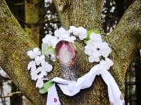 «Не май інших богів крім мене» (коментар щодо 