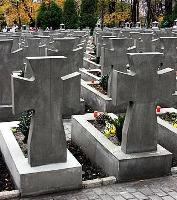 Львівська обласна рада встановить пам’ятні хрести на кладовищах січових стрільців
