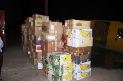 «Карітас-Волинь» спрямовував свою діяльність на підтримку потребуючих.(ФОТО)