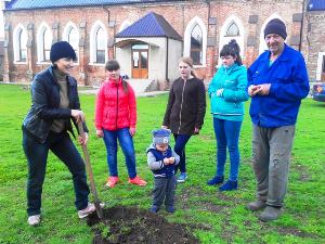 Дерево як знак глибокого прагнення миру