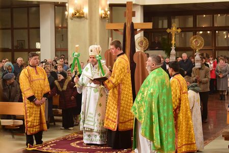 "Він не їхав на коні, як пан, а навмисне вибрав осля", - вл. Дмитро, з нагоди свята Входу Господнього в Єрусалим