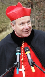 Папа Франциск призначив свого представника з нагоди XXV річниці виходу УГКЦ з підпілля