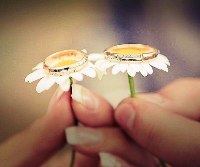 У Самборі наречених ознайомили з аспектами екологічної культури