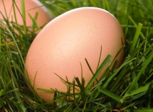 Притча про яйце