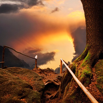 Притча: шукання Бога