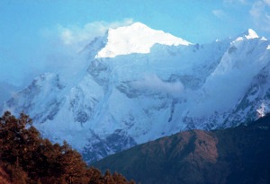 Як страх шкодить можливостям 