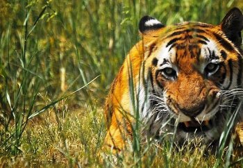 Притча : З кого брати приклад