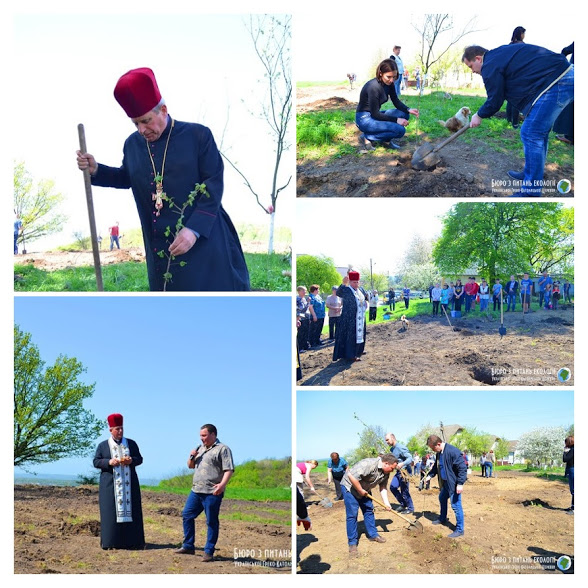 Прикарпаття активно бере участь в акції «Посади дерево миру»